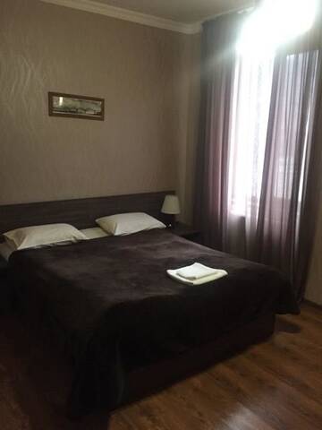 Фото номера Двухместный номер с 1 кроватью Отель Hotel Metekhara г. Амбролаури 3